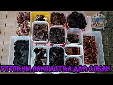 Сушим лакомства для собак. Что из этого вышло?