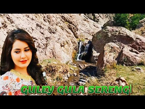 Guley Gula Serengi