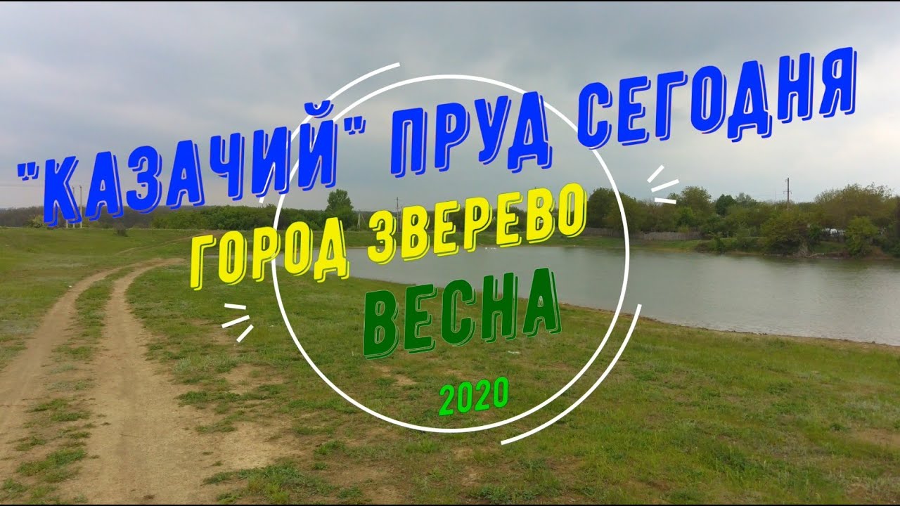 Погода зверево на 10 дней ростовская область