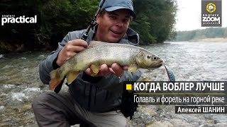 Когда воблер лучше. Голавль и форель на горной реке. Алексей Шанин. Anglers Practical