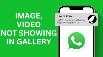 WhatsApp Images, Videos and Documents Not Showing in Gallery in iPhone