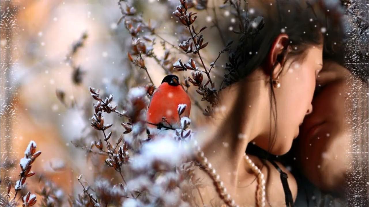 калина в саду. летний вечер. рябины гроздья алые. рябина и влюбленные. а рябина красная а калина красная.