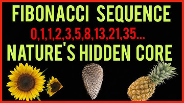 The Fibonacci Sequence and the Golden ratio Explained