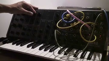 Korg MS-20 noise and resonance loop 3 #korgms20