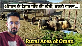 Oman Village/Oman Rural Areas/Best Village of Oman/Oman agriculture/Oman ka gaaon