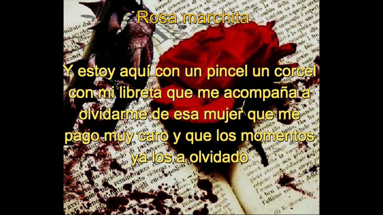 Rosa marchita YouTube