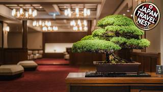 Shinzan Toyooka, Japan Hotel Review