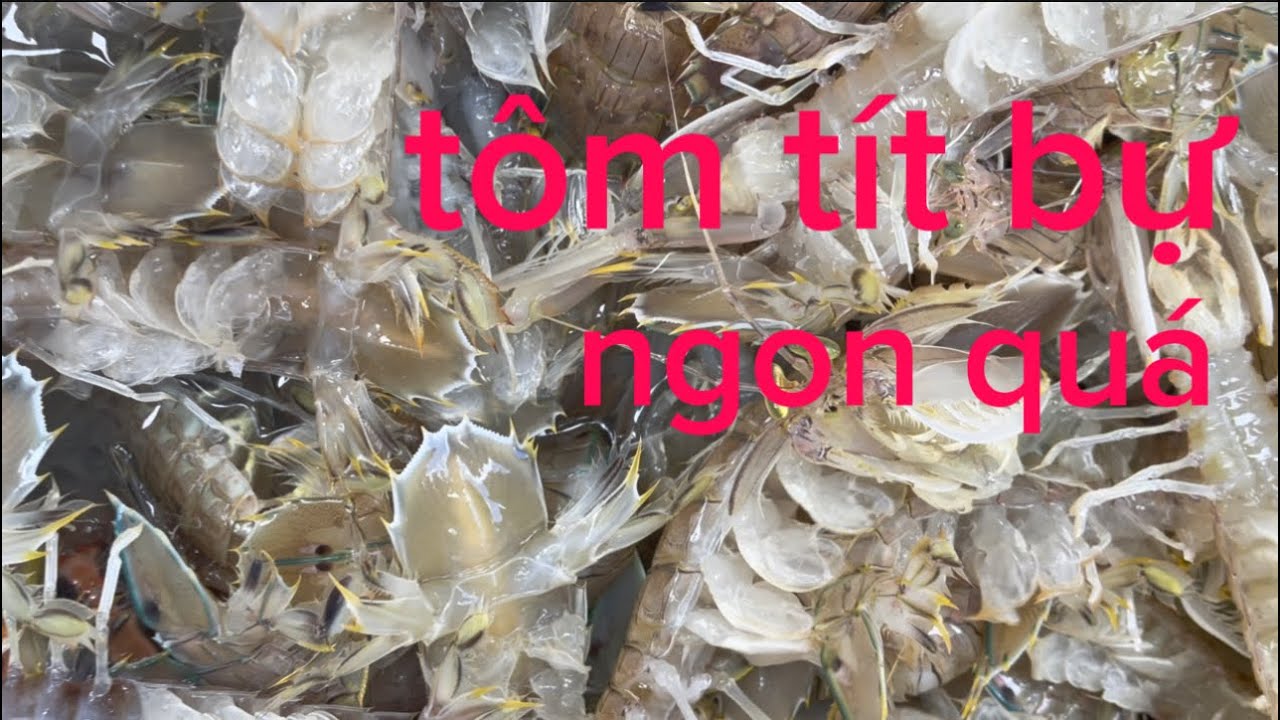 Đánh một dát lưới dính toàn tôm tít bự và cua tôm bạc 