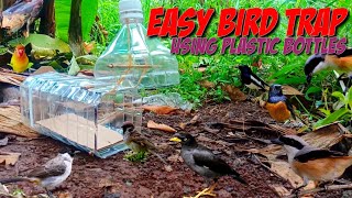 Tutorial!! perangkap burung menggunakan botol plastik || easy bird trap using plastic bottles
