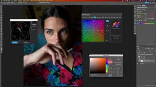 The incredible power of the Grid and the Vectorscope in Photoshop with Mind The Color 2.5