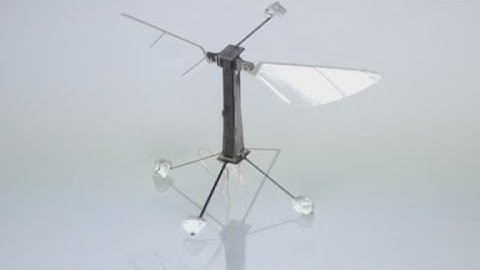 The incredible world of micro-robots