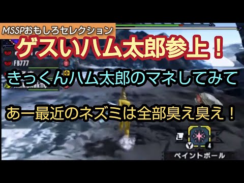 他のネズミを見下しているハム太郎【MSSP切り抜き】