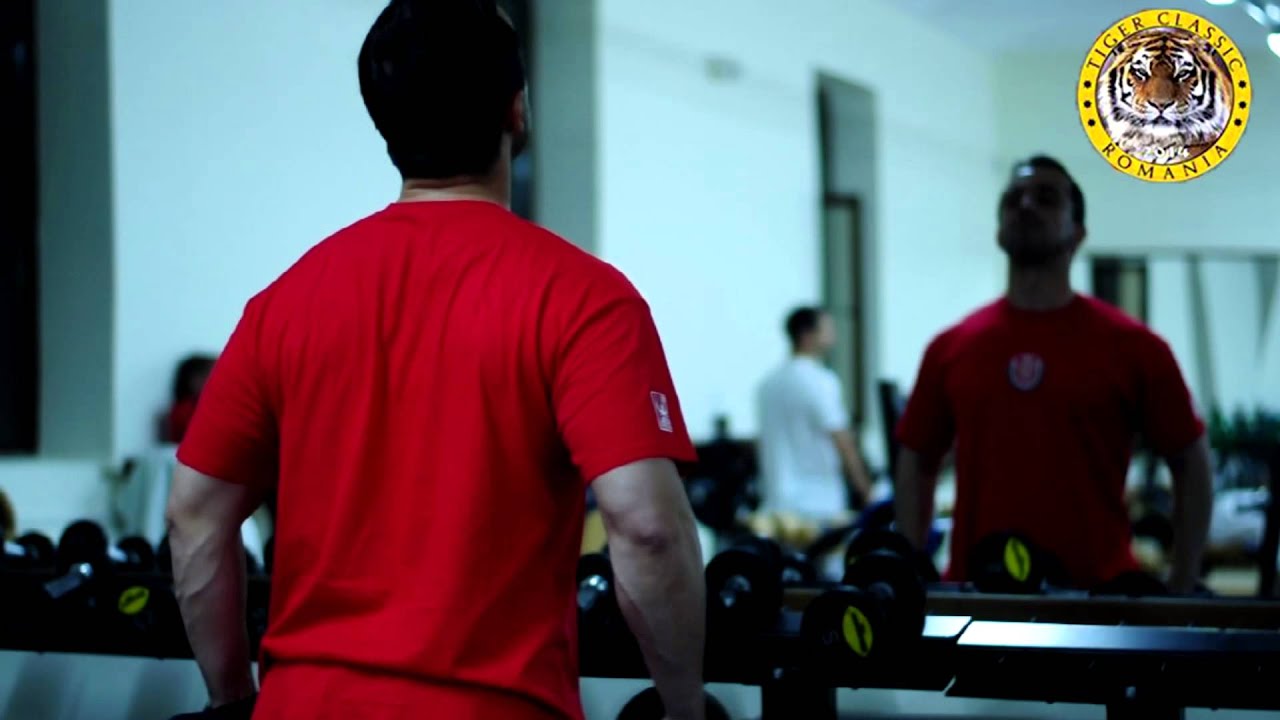 tiger ultimate 81 australia