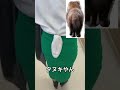 男にはわからない女性の事情【姉がアホすぎて辛い】