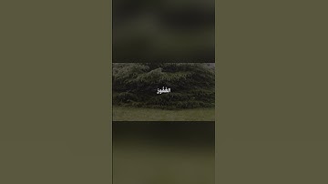 سورة القصص - القارئ علي جابر #quran