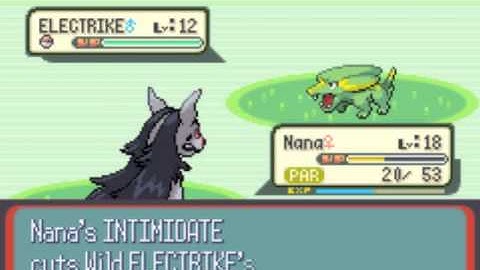 Pokemon Ruby: Part 15 "Wild Pokemon Overload" (with Hector)