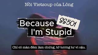 because i'm stupid - ss501 (vietsub)