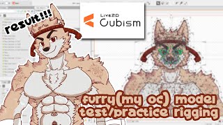 Furry(my oc)model test/practice rigging on live2d[Very Very beginner result]