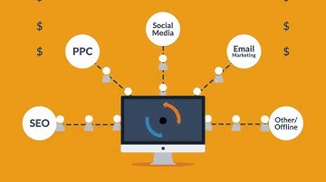 Website Design and Development Process