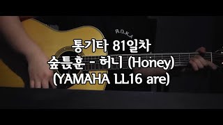 통기타 81일차 숲튽훈 - 허니 (Honey) (YAMAHA LL16 are)