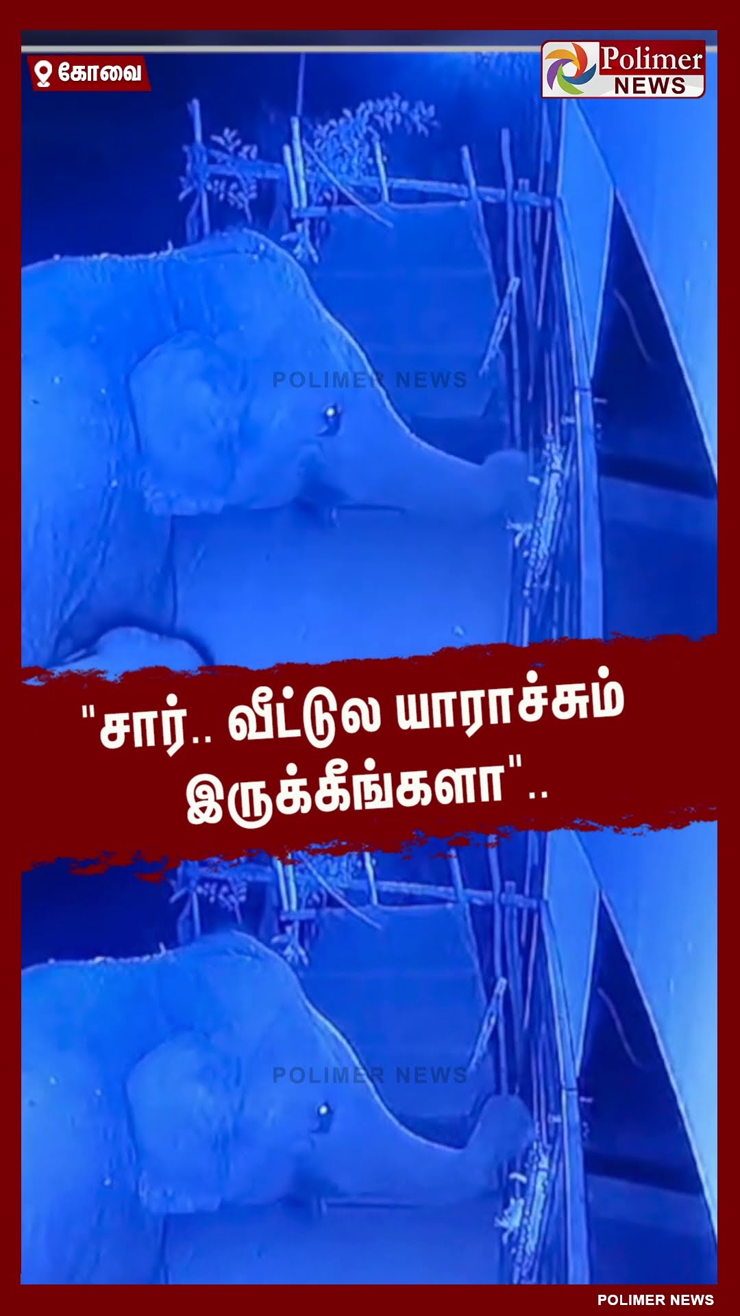 சார் .. வீட்டுல யாராச்சும் இருக்கீங்களா.. #shorts