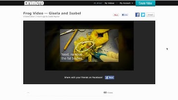 Online Video in the Flipped Classroom: Animoto - Animoto with students