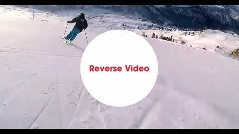 Reverse Video Maker: Backwards Video & Slow Motion