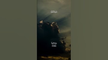 احمد بن طالب - سورة البقرة | اتامرون الناس بالبر وتنسون انفسكم #قرآن #تلاوة_خاشعة #فلسطين #قران_كريم