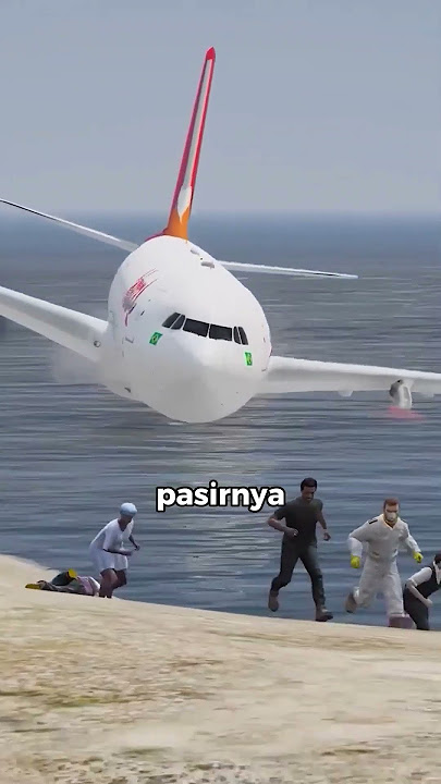 Pesawat Mendarat Di Pantai, Apa Bisa? #faktaunik #aviation #facts