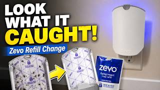 My Honest Zevo Flying Insect Trap Review ZEVO