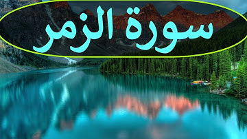 تلاوة سورة الزمر كاملة للقارئ احمد الشبلي | surah Az-Zumar