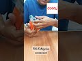 Video Image
