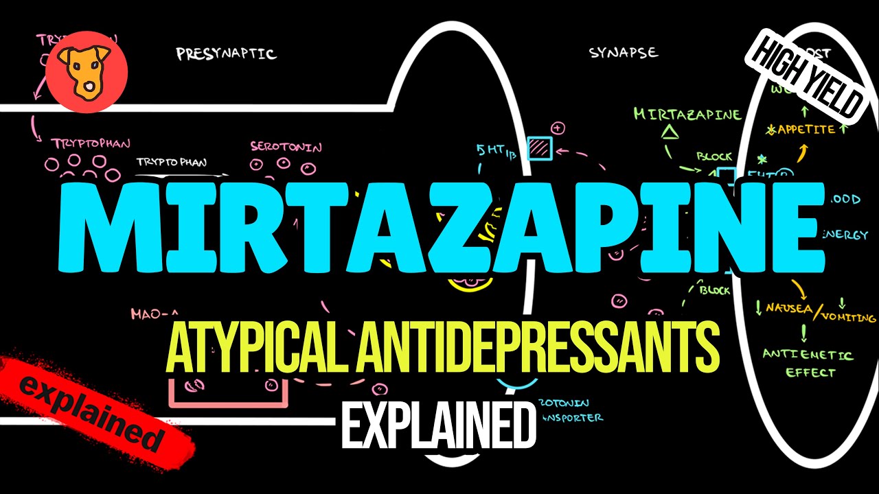 MIRTAZAPINE (REMERON) Mechanism of action. Side effects YouTube