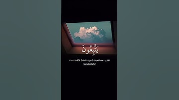 القارئ : محمد اللحيدان | سورة : النساء | الآية (27-28) #قران_كريم