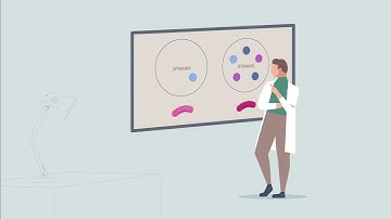 AI analysis of how bacteria attack could help predict infection outcomes