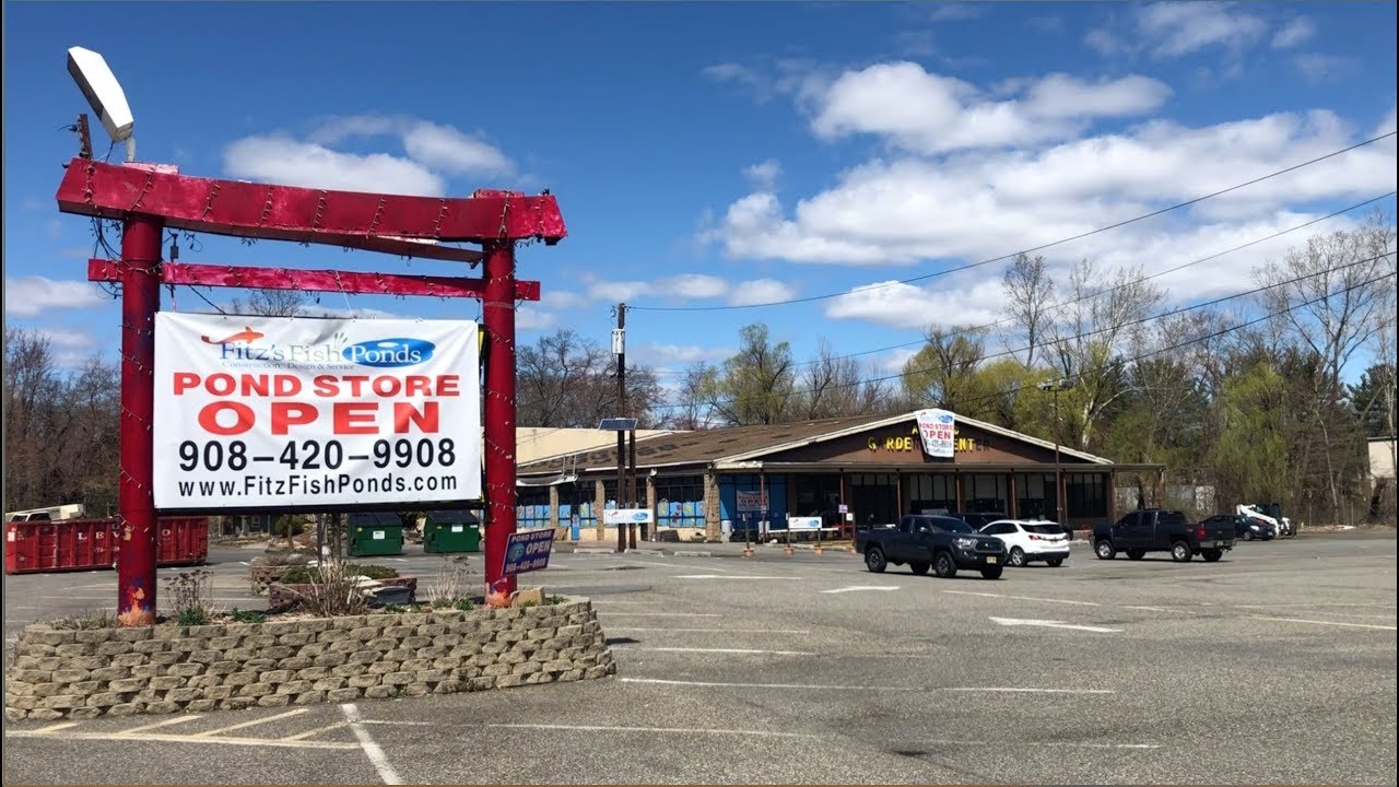 New Pond & KOI Fish Store in Fairfield, New Jersey! - YouTube