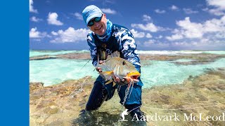 Fly Fishing Providence Atoll Seychelles - November 2022 Episode 1