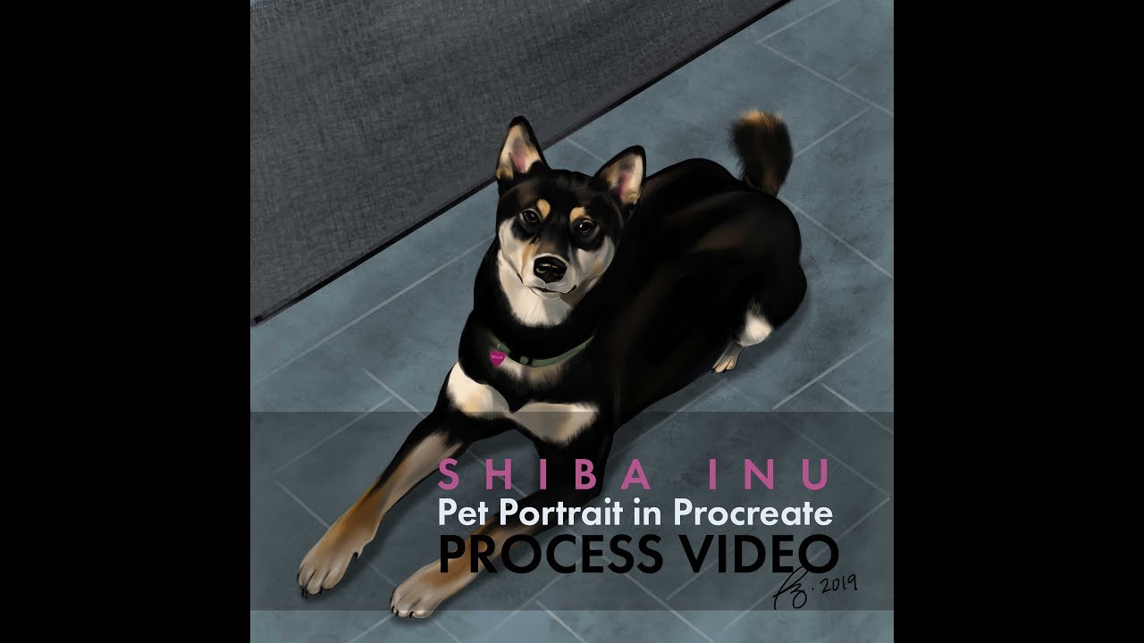 Bella - A dog portrait in Procreate - YouTube Bella - A dog portrait in Procreate - YouTube