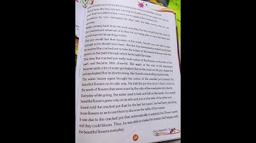 Class 5 Moral Science Ch-9 The Tale of the Cracked Pot