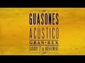 Guasones - Acústico Gran Rex [DVD FULL, 2013]