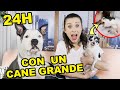 SE IL MIO CANE FOSSE GRANDE? 24h con il cane di @Valentina Lattanzio