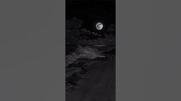 سورة الفيل الشيخ ماهر المعيقلي #اكسبلور #المصحف