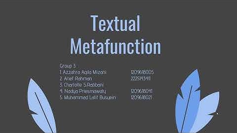 Group 3 Textual Metafunction