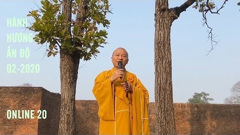 Cây Sala còn gọi là Ta-la song thọ, có hình dàn ná tự nhiên trong khuôn viên Chùa Niết-bàn