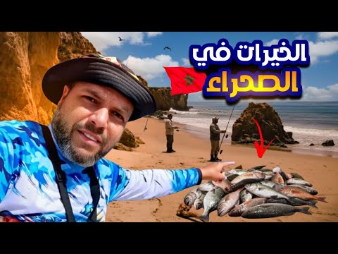 نهار ناري فالداخلة صيد بجميع الطرق وحصيلة عمرها ما تكرر