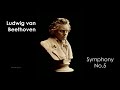 Capture de la vidéo Ludwing Van Beethoven - Symphony No.5