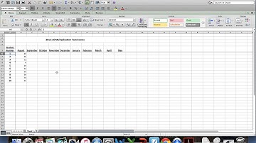 • Merging Cells, Wrapping Text and using AutoFit