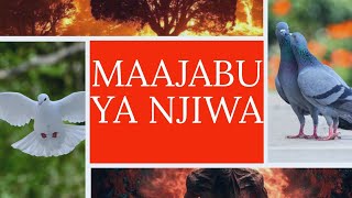 NJIWA NA MAAJABU YAKE - USIYOAMBIWA /NGUVU ZA GIZA,AMANI & UAMINIFU