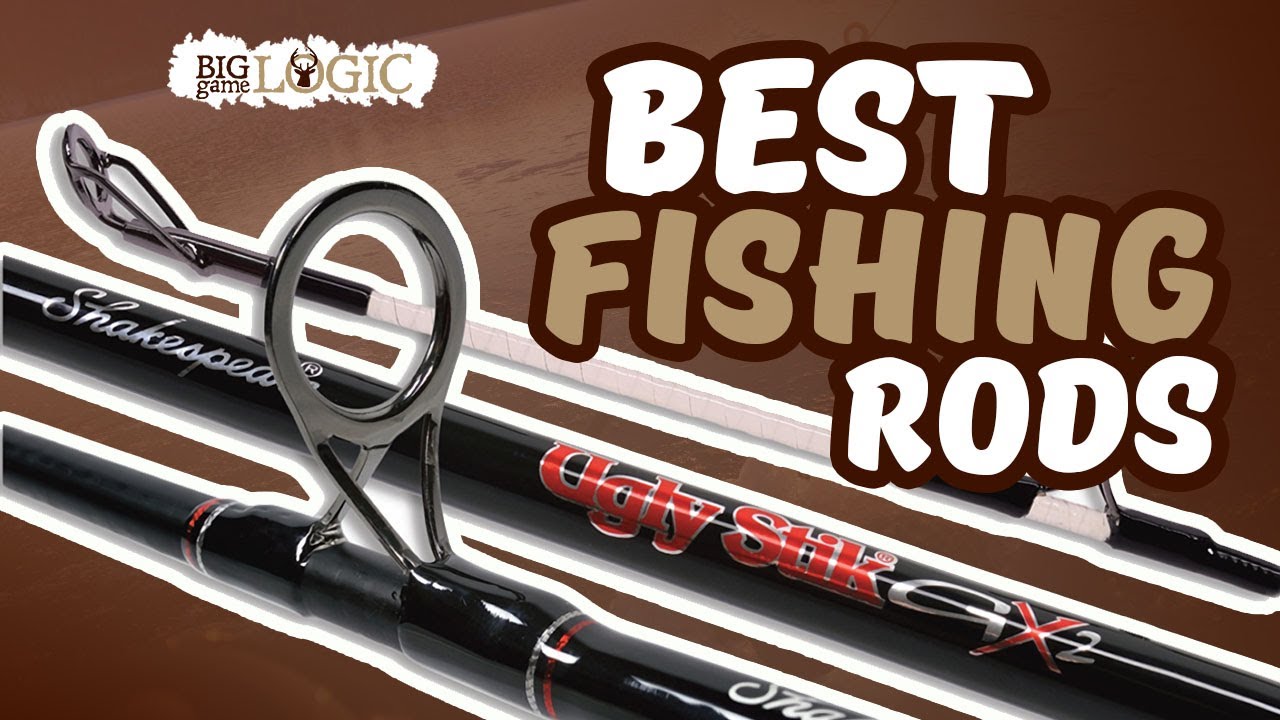 Top 8 Best Catfish Rod and Reel Combos for Catching Monster Fish 