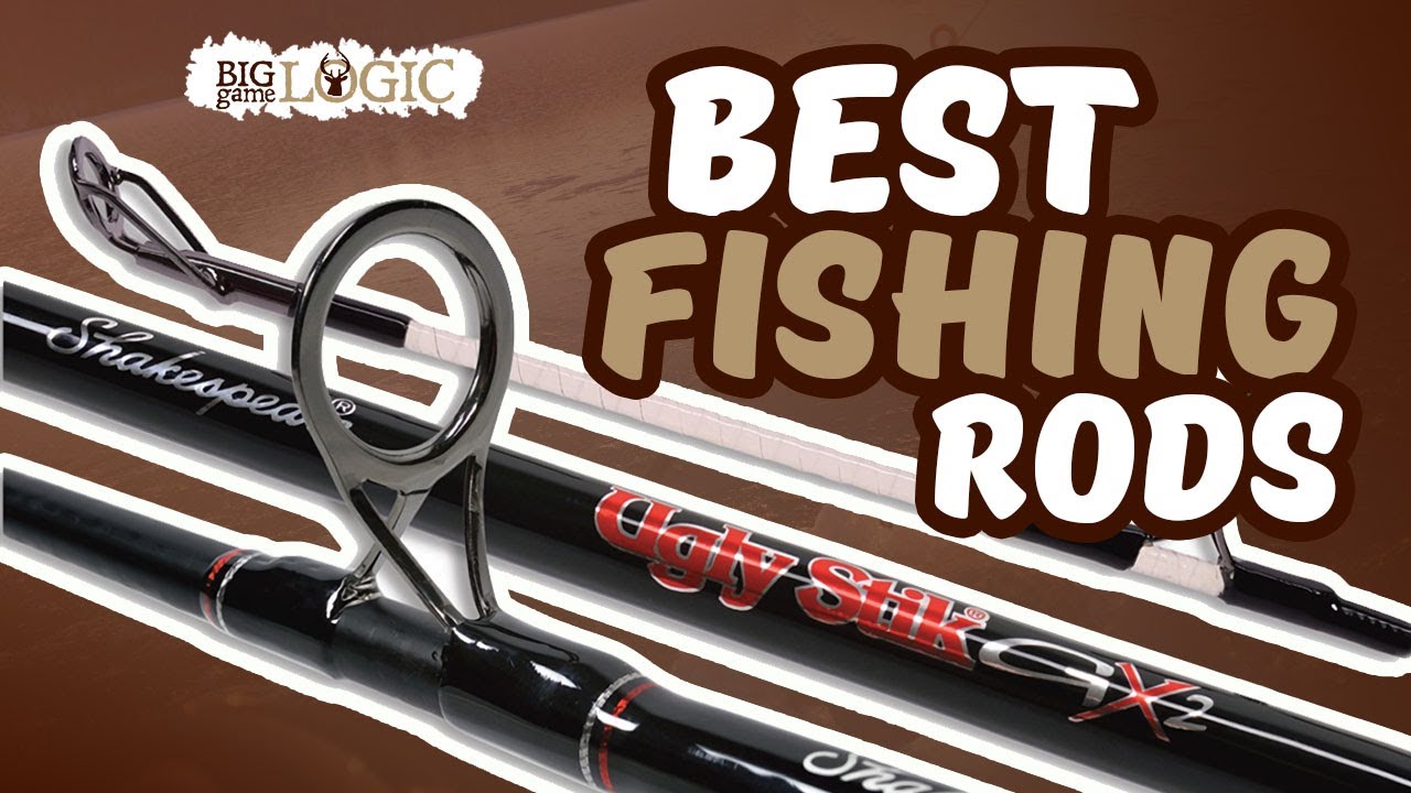 best fishing rod for casual fishing